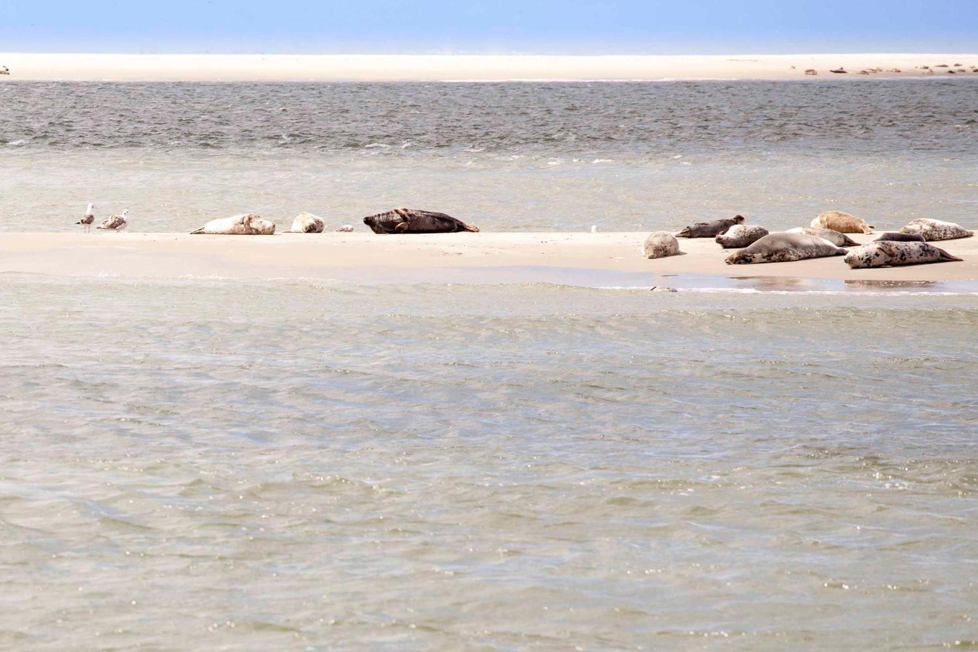 Vakantiehuisje Bloem 4 Personen Stolpen Ngoại thất bức ảnh