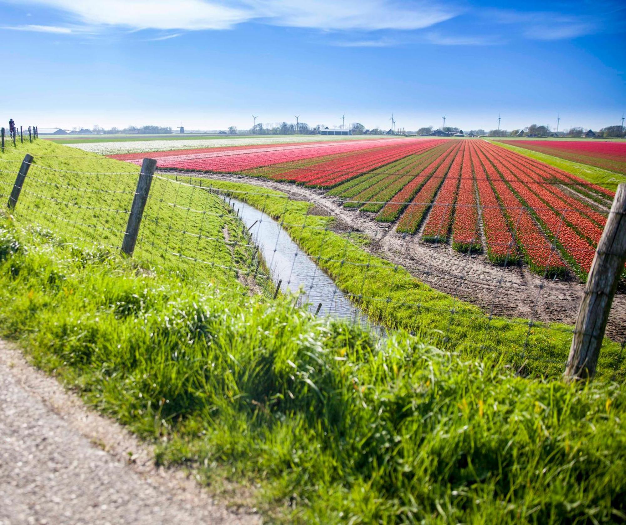 Vakantiehuisje Bloem 4 Personen Stolpen Ngoại thất bức ảnh
